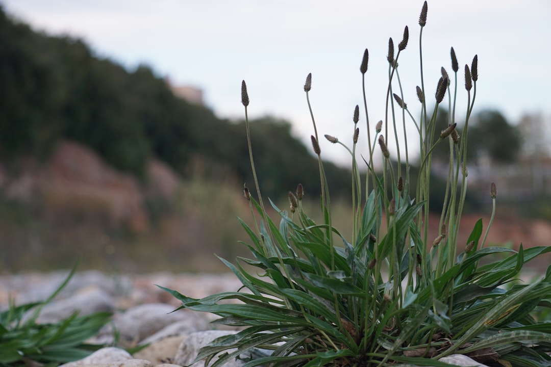 IA Revela Como Você Ficaria Com Qualquer Corte de Cabelo em Segundos