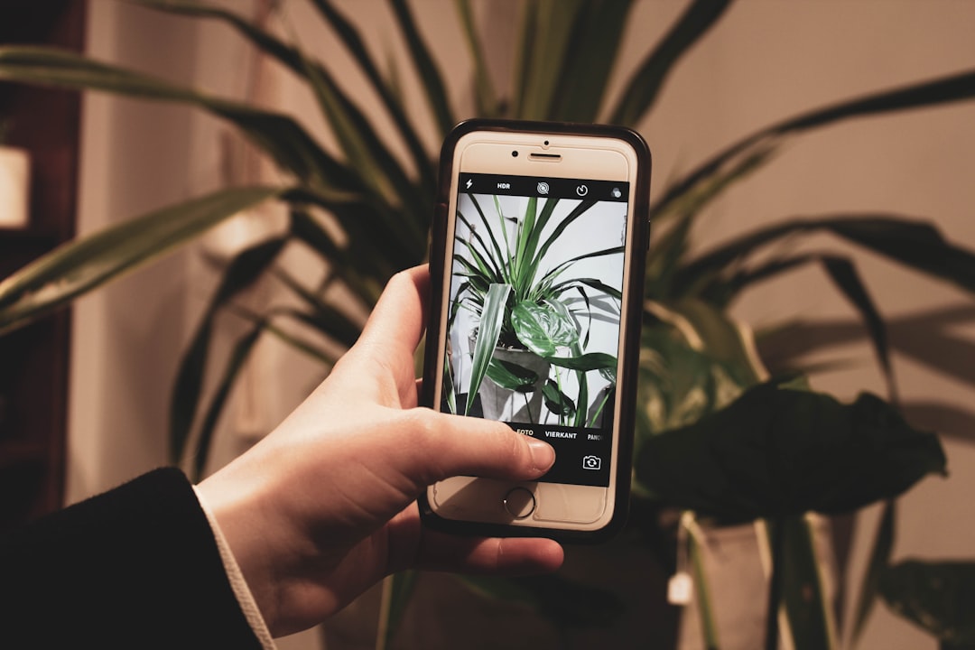 Identificador de Plantas: Reconheça Flores