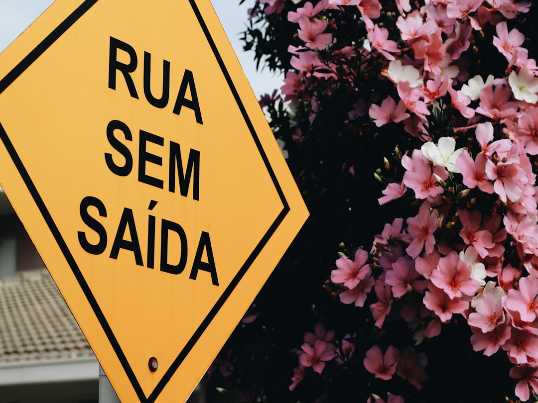 IA Cria Seu Novo Visual em Segundos e Evita Arrependimentos no Salão